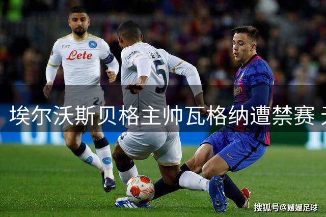 埃尔沃斯贝格主帅瓦格纳遭禁赛 无缘带队战拜仁